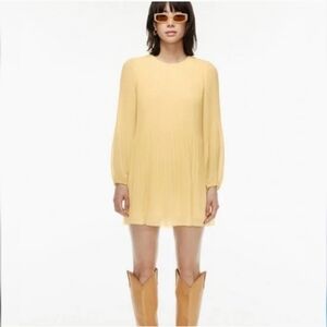NWT Wilfred Daydreamer Mini Dress